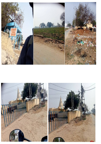 Sale Notice of Madhav Chicory Growers and Suppliers 100720241